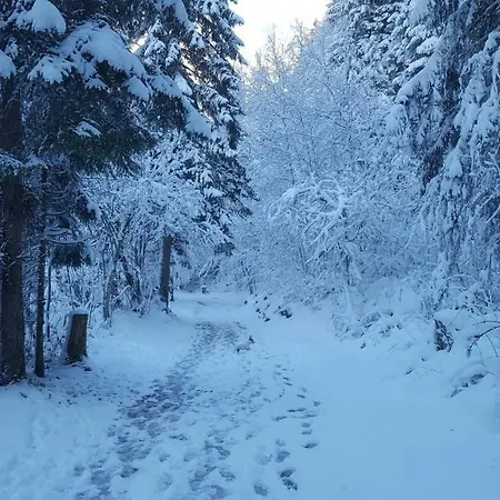 Duplex Les Periades 18 *